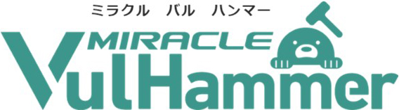 MIRACLE Vul Hammer
